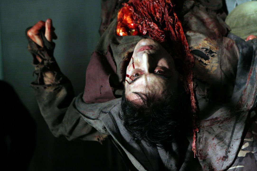 Nach einer Epidemie haben sich weite Teile der Weltbevölkerung mit einem Virus infiziert, der Menschen zu Vampiren macht - mit einem unstillbaren Hu... - Bildquelle: 2008 Worldwide SPE Acquisitions Inc. All Rights Reserved.