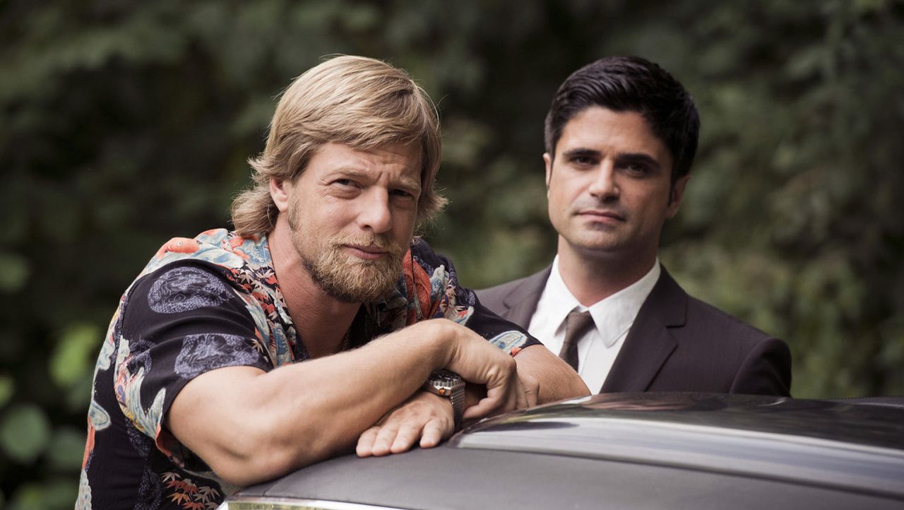 последний бык