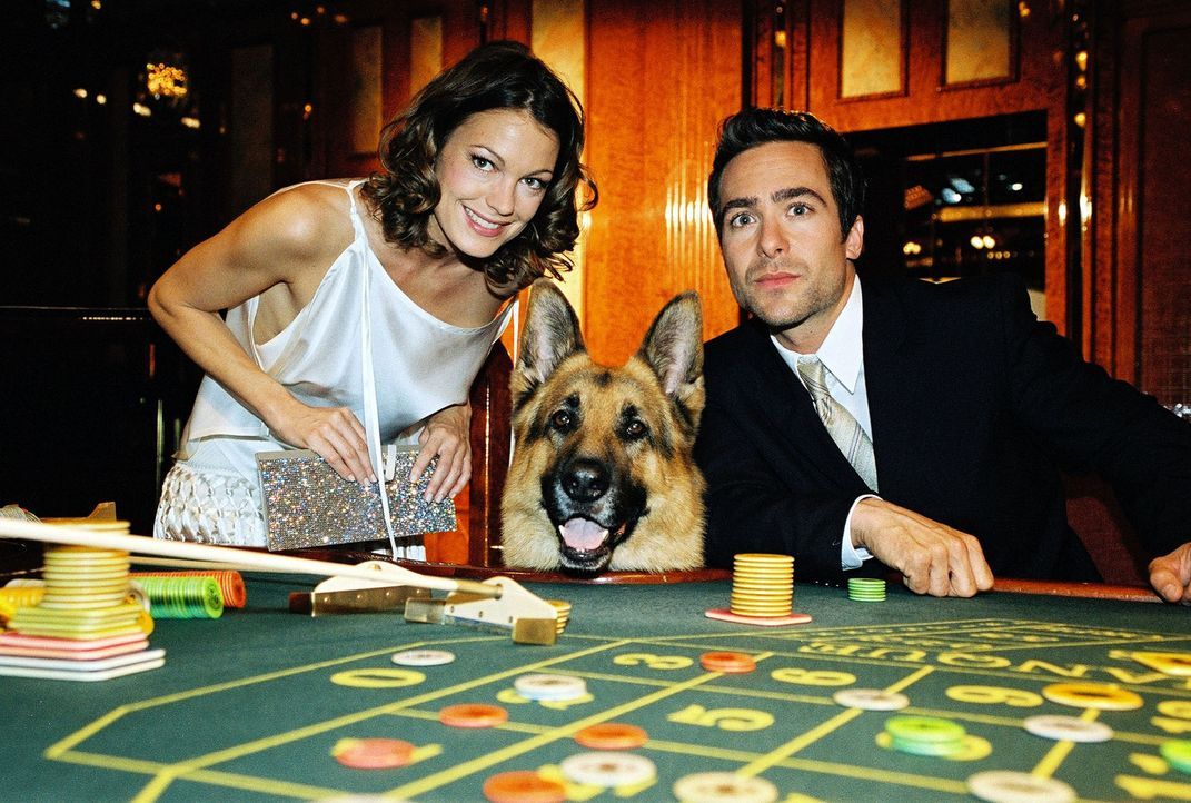 Niki (Elke Winkens, l.), Rex und Marc (Alexander Pschill, r.) versuchen ihr Glück im Casino. - Bildquelle: Sat.1