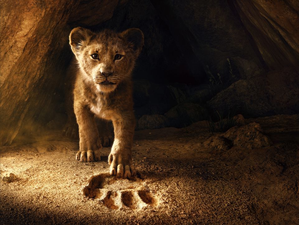 Der König der Löwen - Artwork - Bildquelle: 2019 Disney Enterprises, Inc. All Rights Reserved.