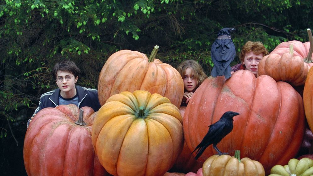 Harry Potter Und Der Gefangene Von Askaban