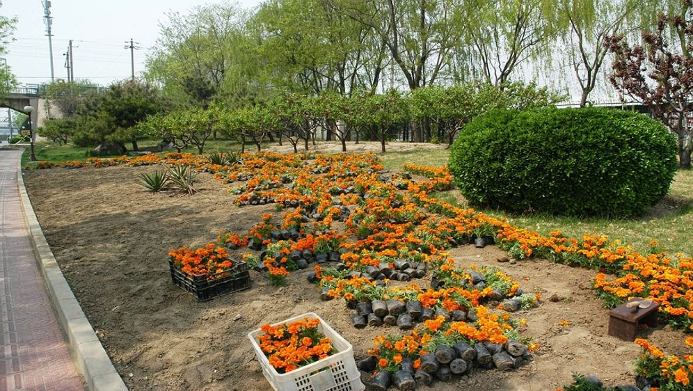 Gartenarbeiten Im Februar Sat 1 Ratgeber