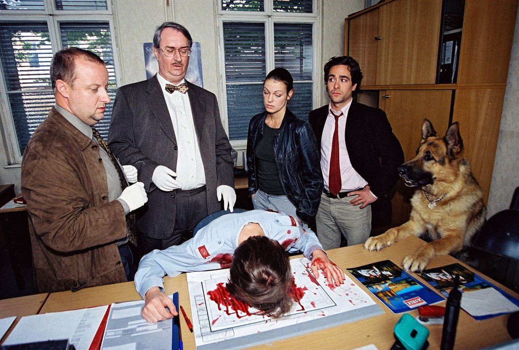 Fritz Kunz (Martin Weinek, l.), Dr. Graf (Gerhard Zemann, 2.v.l.), Niki (Elke Winkens, 2.v.r.) und Marc (Alexander Pschill, r.) untersuchen die Poli... - Bildquelle: Sat.1