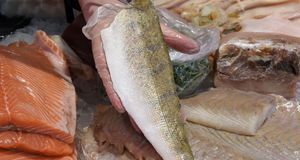 S1_Artikel lang_Profi-Tipp So wird gebratener Fisch innen saftig und außen kr...