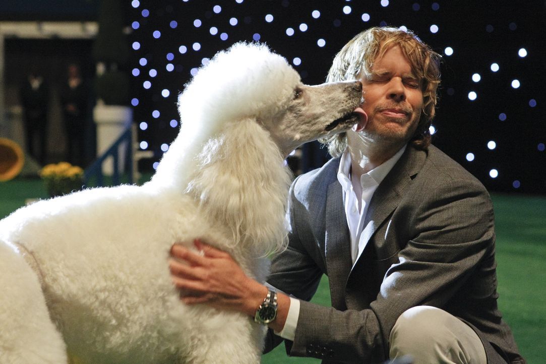 Deeks: Ich bin nicht empfindlich. Ich bin feinfühlig. - Bildquelle: CBS Studios Inc. All Rights Reserved.