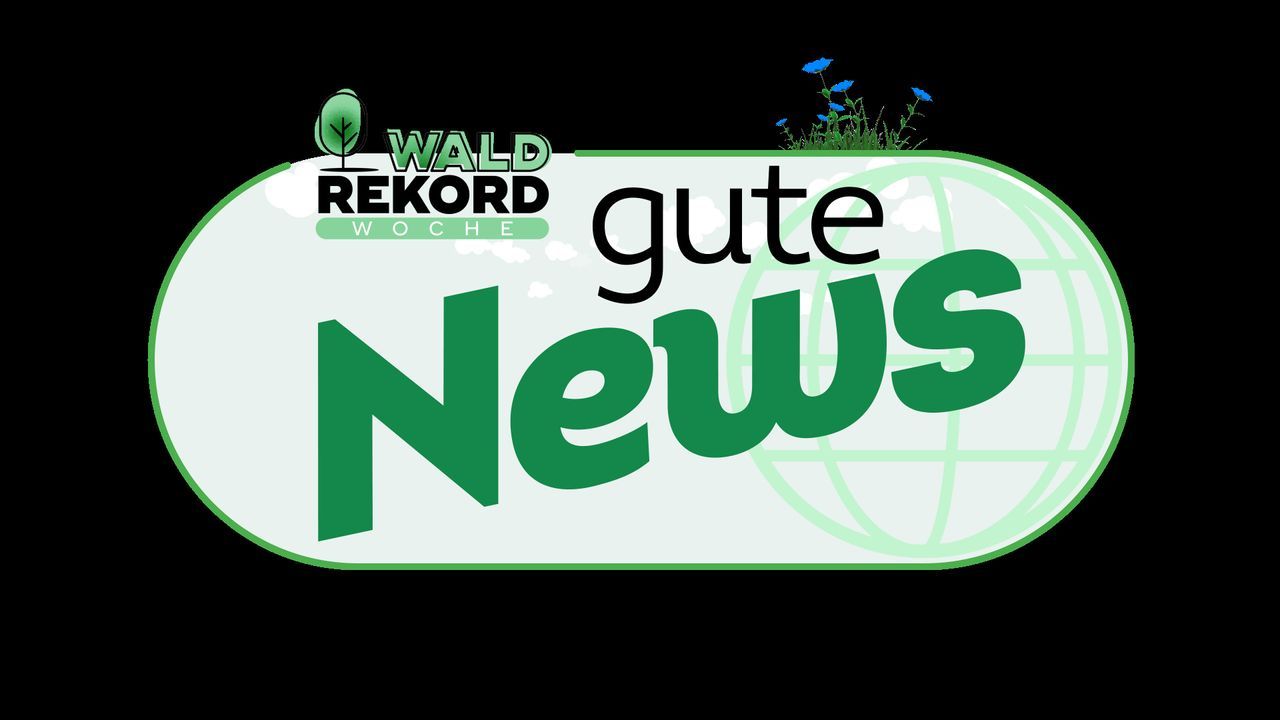 Gute News - Logo - Bildquelle: SAT.1