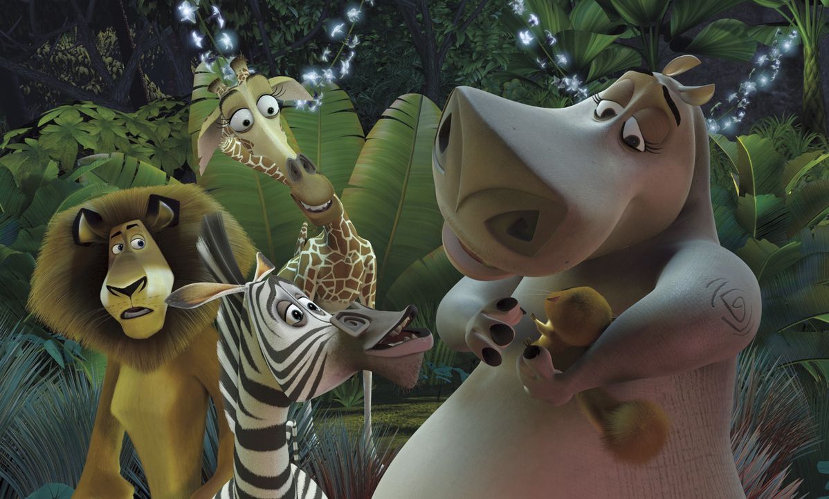 Alex, Marty, Melman und Gloria werden als Schiffbrüchige an die Küste der exotischen Insel Madagascar gespült. Nun müssen die Großstadttiere he... - Bildquelle: TM &   2004 DREAMWORKS ANIMATION SKG.