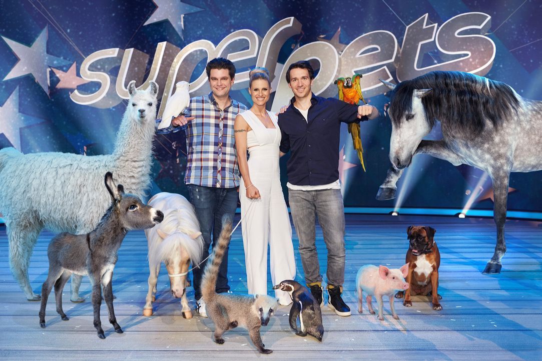 Suchen das talentierteste Haustier der Welt: Michelle Hunziker (M.), Felix Neureuther (r.) und Lutz van der Horst (l.) ... - Bildquelle: Benedikt Müller SAT.1