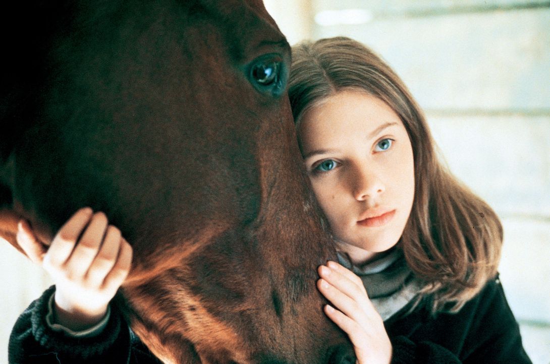 Nur zögerlich lassen Grace (Scarlett Johansson) und ihr Pferd Pilgrim sich auf das Experiment mit dem Pferdeflüsterer ein ... - Bildquelle: Touchstone Pictures