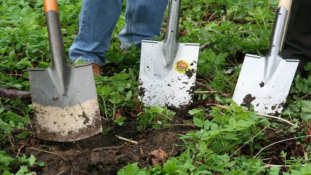 Gartenarbeit im Januar: Neue Vorsätze - SAT.1 Ratgeber