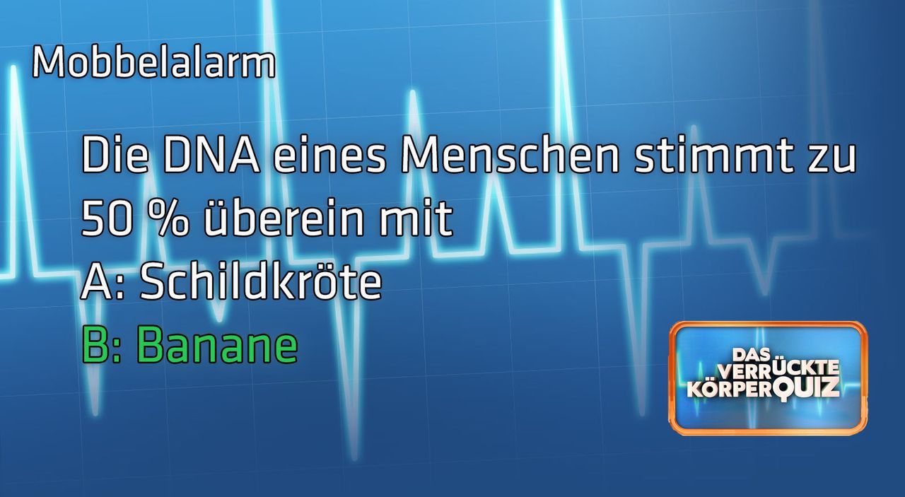 S4_Frage2Antwort
