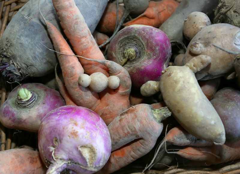3. Gib krummem Gemüse eine Chance!Eine Menge an Lebensmitteln landet im Müll... - Bildquelle: dpa - Picture Alliance