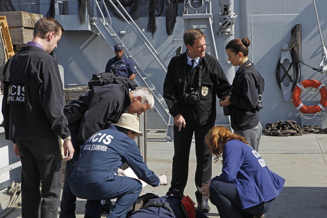Bei den Ermittlungen in einem neuen Fall: McGee (Sean Murray, l.), Gibbs (Mark Harmon, 2.v.l.), Ducky (David McCallum, 3.v.l.), Tony (Michael Weathe... - Bildquelle: CBS Television