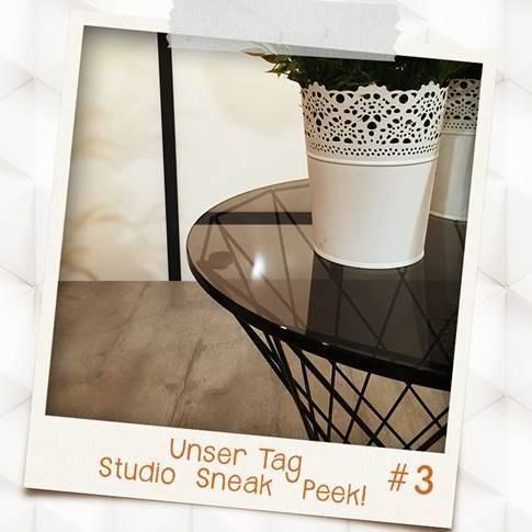 Sneak Peak Studio (5)