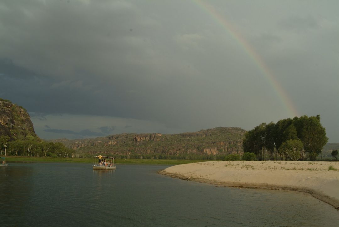 Die Idylle währt nur kurz: Kates Wassersafari ins nordaustralische Revier zu den Salzwasserkrokodilen endet ganz anders als geplant ...