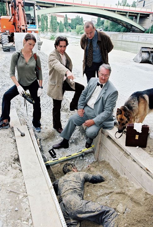 V.l.n.r.: Niki (Elke Winkens), Marc (Alexander Pschill), Kunz (Martin Weinek) und Dr. Graf (Gerhard Zemann) versuchen nach dem Leichenfund Spuren zu... - Bildquelle: Sat.1