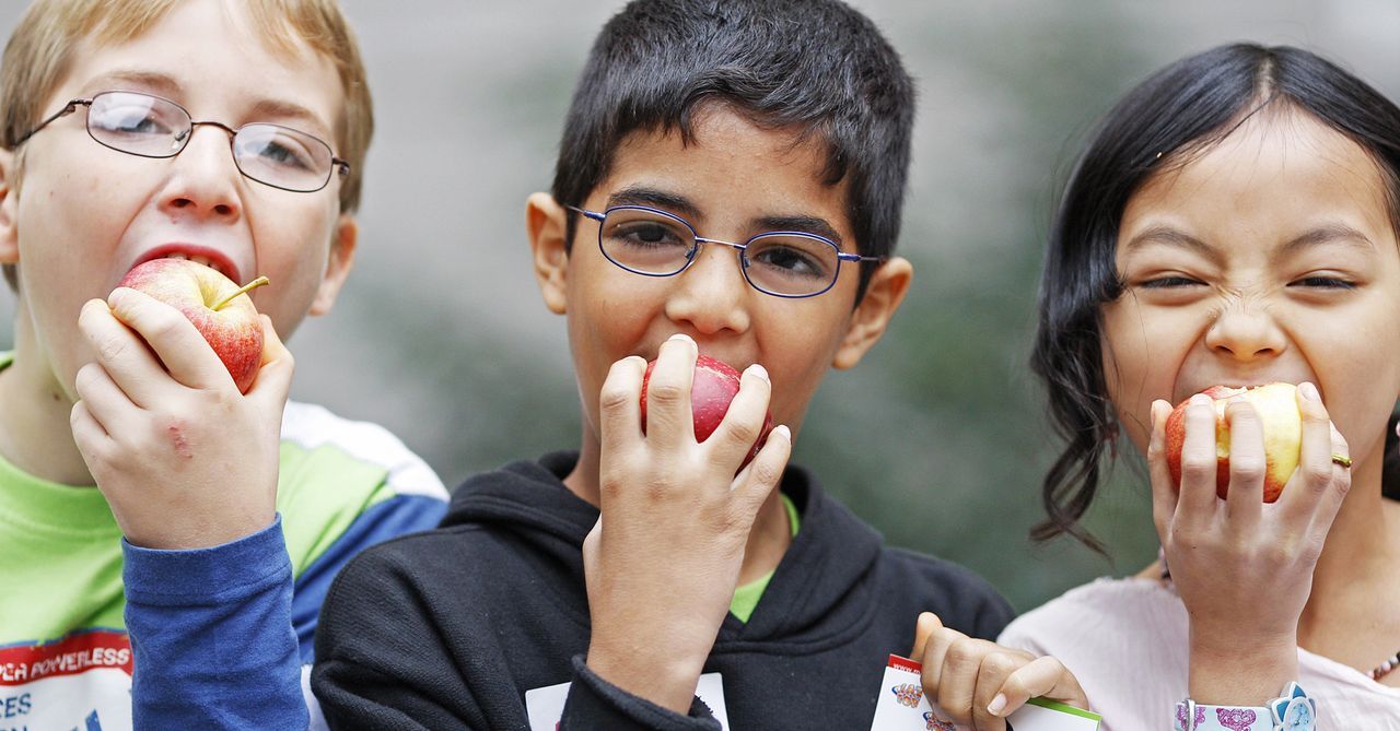 Kinder beissen in Äpfel - Bildquelle: dpa