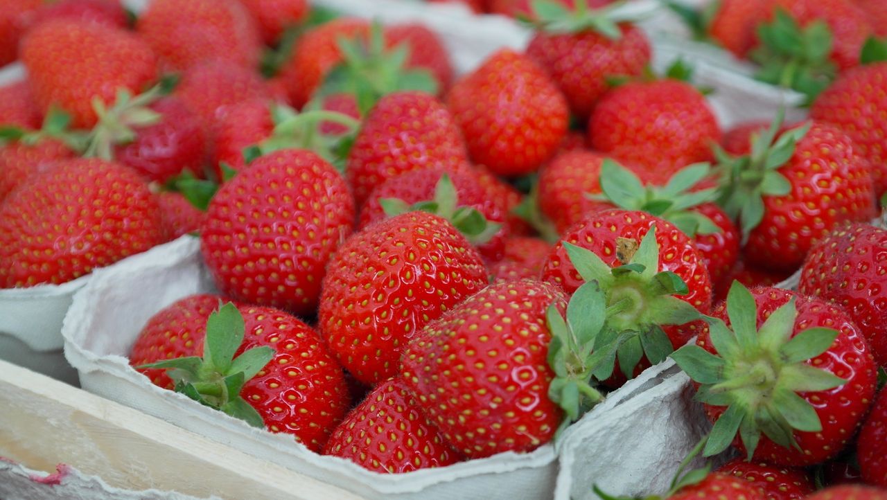 strawberries-823782_1920 - Bildquelle: Pixabay