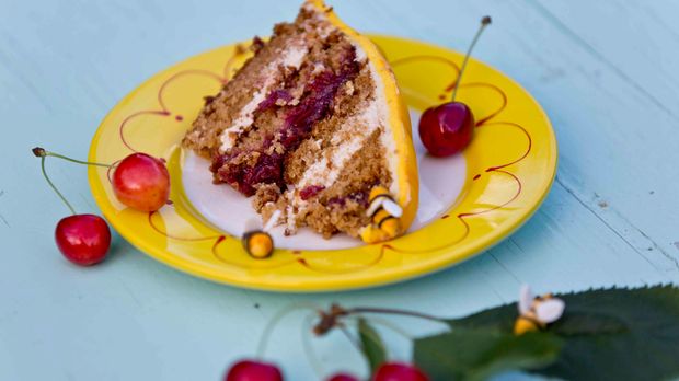 Das Groe Backen Erdbeerwolke Rezept Das Groe