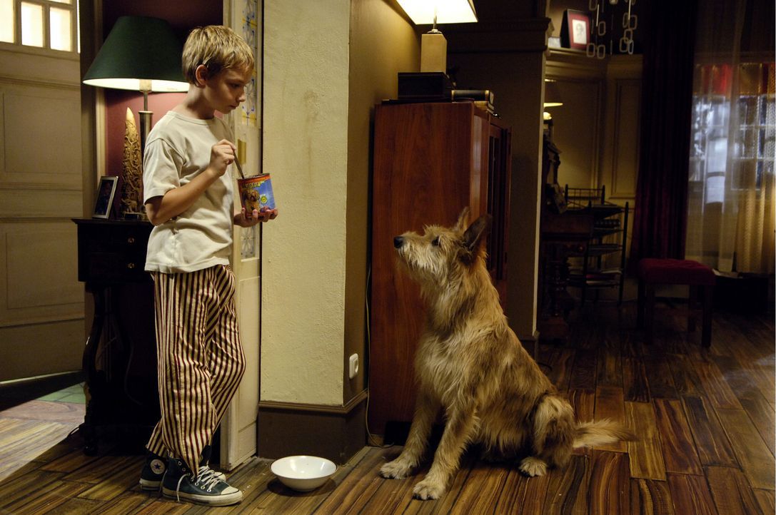 Nach dem plötzlichen Tod seiner Mutter, gibt es für den 12-jährigen Max (Manuel Steitz, l.) nur einen Trost: seinen Hund Bello ... - Bildquelle: Constantin Film Verleih GmbH