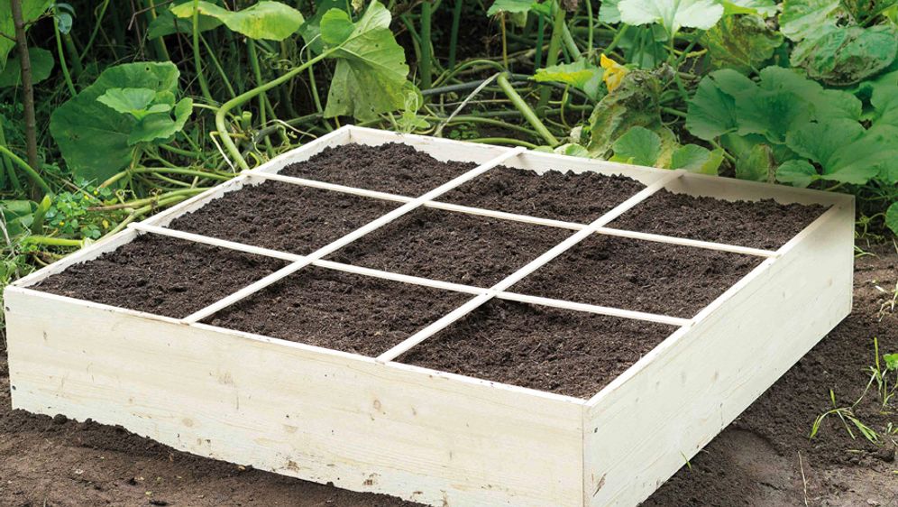 Square Foot Gardening Sat 1 Ratgeber