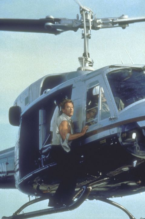 Todesmutig riskiert Harry (Arnold Schwarzenegger) Kopf und Kragen ... - Bildquelle: 20th Century Fox Film Corporation