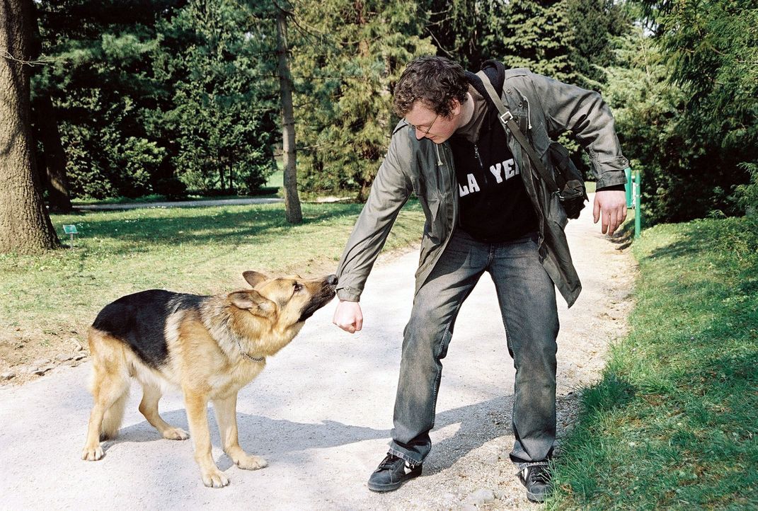 Rex legt sich im Park auf die Lauer. Schließlich findet er Jimi (Holger Schober), der einen kleinen Hund vergiftet hat. - Bildquelle: Sat.1